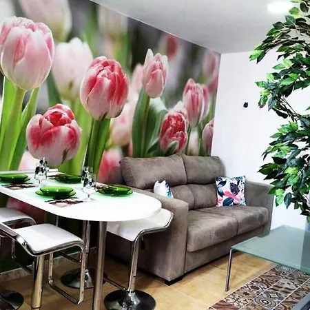 Tulipanes Apartamento