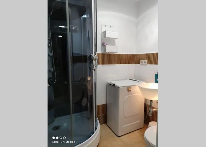 Tulipanes * Lumpiaque