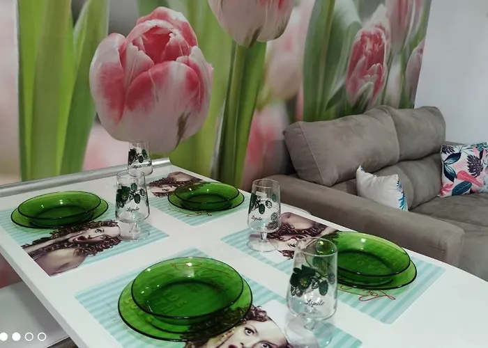 Apartman Tulipanes *